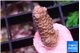 Acropora pink 1-2 cm WYSIWYG acclimaté