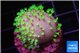Sarcophython full neon green polyps Australia 1-2 cm WYSIWYG acclimaté