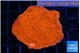 Montipora red cap 4-5 cm WYSIWYG acclimaté