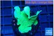 Pavona cactus green 3-4 cm WYSIWYG acclimaté
