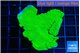 Montipora green cap 3-4 cm WYSIWYG acclimaté
