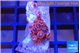 Zoanthus red blue 2-3 cm WYSIWYG acclimaté