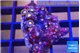 Zoanthus purple fire 2-3 cm WYSIWYG acclimaté