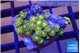 Zoanthus sunset kiwi 2-3 cm WYSIWYG acclimaté