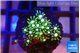 Pachyclavularia neon green 2-3 cm WYSIWYG acclimaté