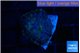 Rhodactis purple Tonga 1 polyp WYSIWYG acclimaté