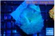 Discosoma avatar deep blue 2 polyps WYSIWYG acclimaté