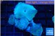 Discosoma avatar deep blue 4-5 polyps WYSIWYG acclimaté