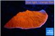 Montipora red cap 3-4 cm WYSIWYG acclimaté