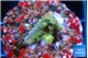 Acropora green purple 1-2 cm WYSIWYG acclimaté