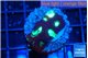 Favia green purple 3-4 cm WYSIWYG acclimaté