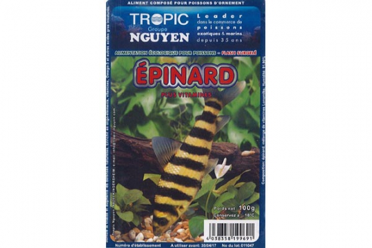 Epinards 100g Blister